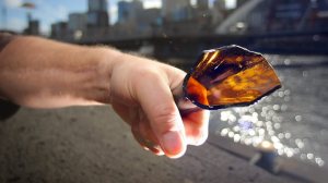 Likely Kirk Hinrich grasping a broken beer bottle - intent unknown